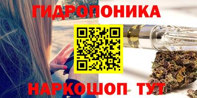 прущие грибы Обнинск