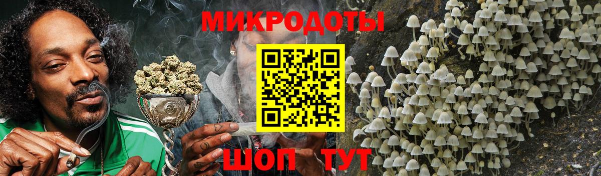 Псилоцибиновые грибы MAGIC MUSHROOMS  Вход с VPN  Соль-Илецк 